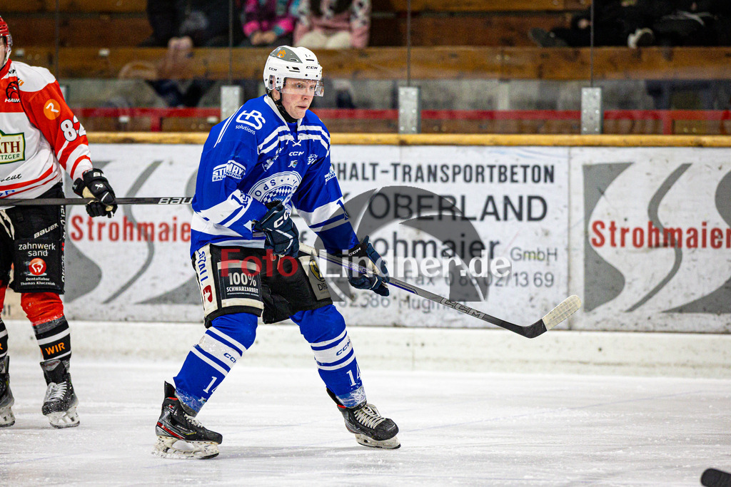 SC Forst NATURE BOYS gegen ESC Hassfurt HAWKS | Eishockey Landesliga Herren Playoffs 2024/25 - Spiel 2 von 4, SC Forst NATURE BOYS gegen ESC Hassfurt HAWKS, 20250222,Max WILLBERG (Nature Boyz 14) in Aktion,2025-02-22 in Peißenberg (Eisstadion Peißenberg)Max WILLBERG (Nature Boyz 14)Copyright: WolfgangxLindner foto-lindner.de