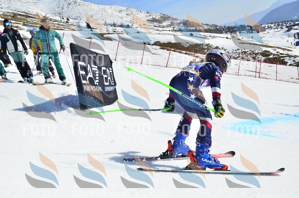 _ELE0624 | holidayphoto