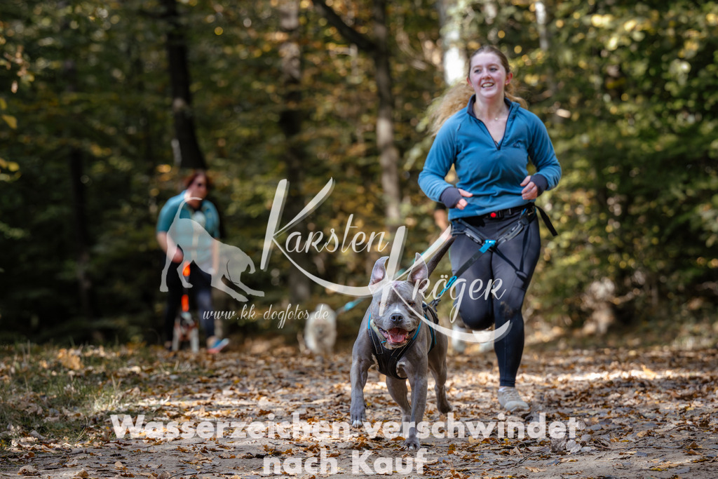 1247_ZZ96146 | kk-dogfotos