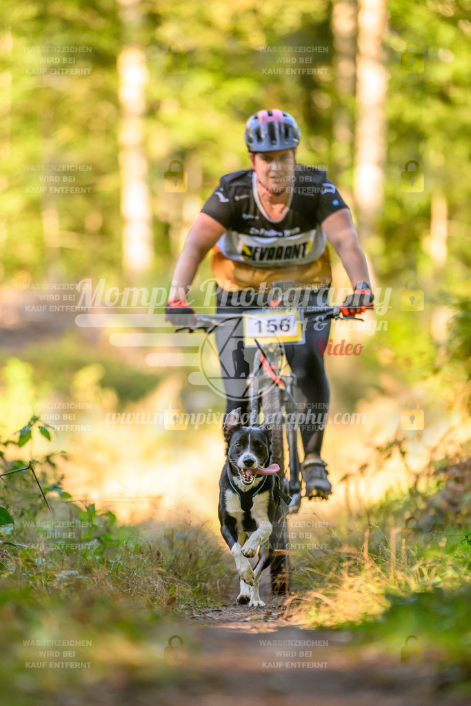 MompixPhotography_Yens2025_B3-79 | PayLife