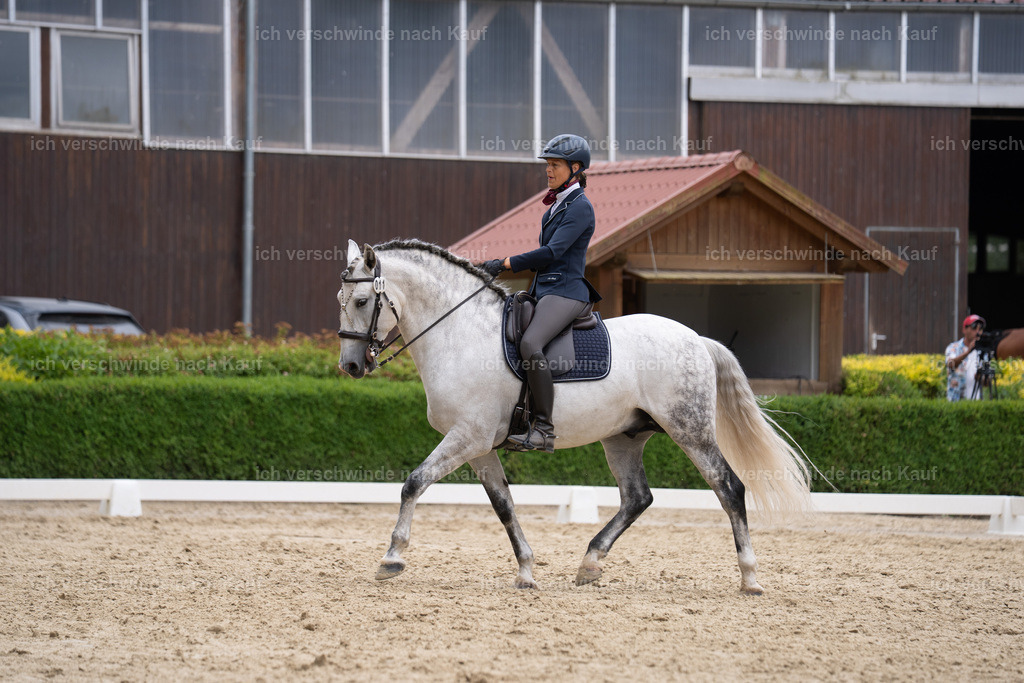 WS_DR_11_sinafilmart_IN01833 | working equitationturnier fotograf videograf stoibphotography marixx film working equitation deutschland reitsport turnierfotografie eventfotografie equestrian events