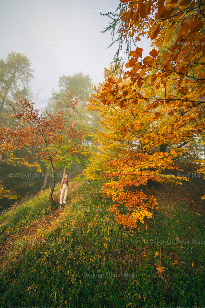 Lavant_Herbst_2023-76 | piet_flosse