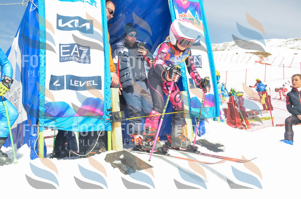 _ELE6305 | holidayphoto