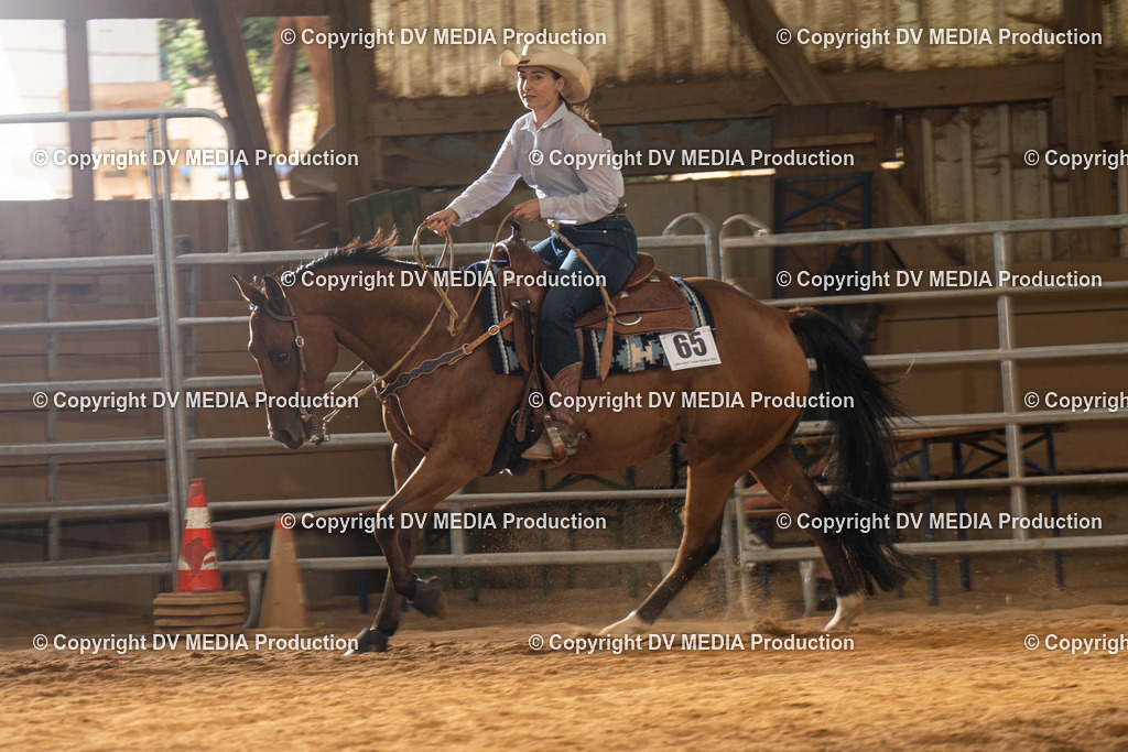 NID01693 | dv-media-shop - Realisiert mit Pictrs.com