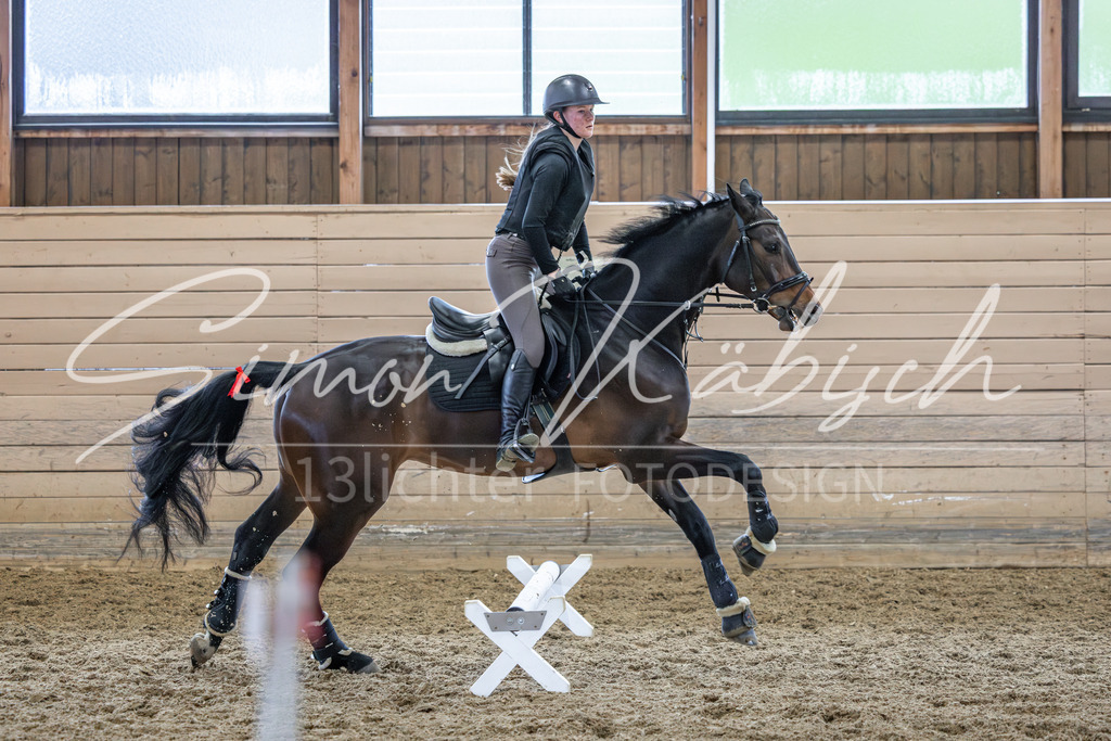 20260222-_3LI1855 | Tierfotografie Pferde, Hunde, Katzen, Haustiere.
Turnierfotografie Reitturniere, Reiten, Springreiten, Dressur in Hanau, dem Main-Kinzig-Kreis und dem Rhein-Main- Gebiet um Frankfurt