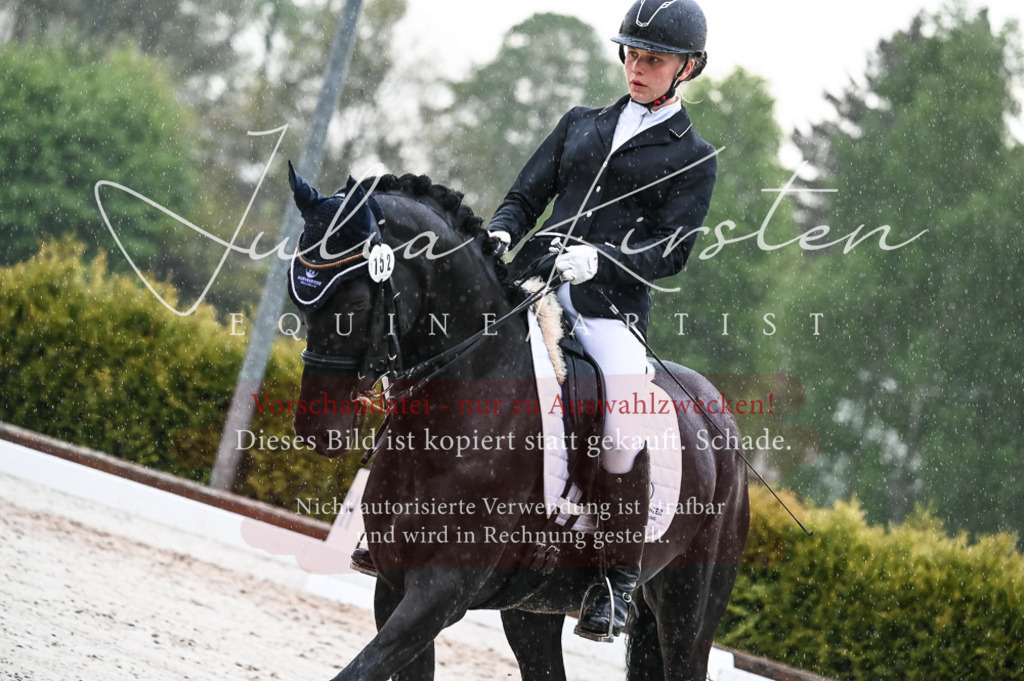 DSC_4734 | Pferde- und Turnierfotografie in Westsachsen. Pferdeportraits, Auftragszeichnungen und intuitive Kunst.