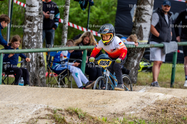 BayBMX2026-06151 | Fotogalerie von Thomas Dettweiler mit Eventbildern und lizenzfreien Fotos. Perfekt als Wandbild, für Büro, Website oder private Nutzung. - Realisiert mit Pictrs.com