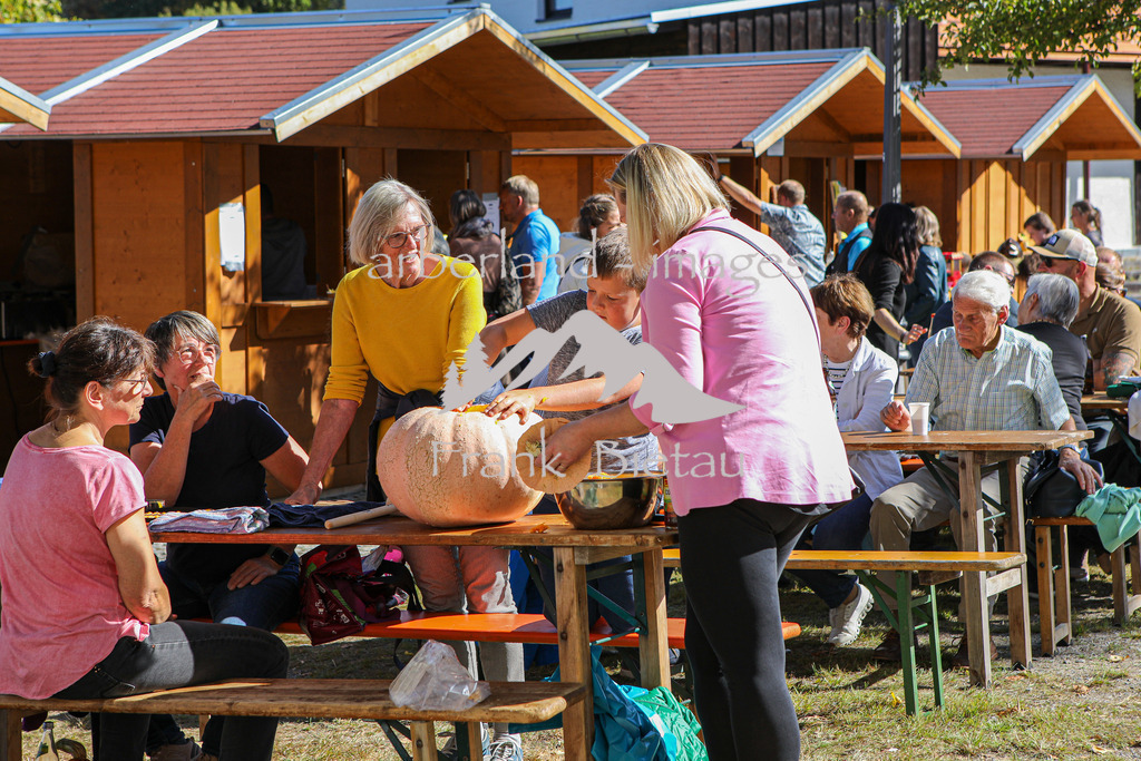 OE7A8487 | Kürbis schnitzen