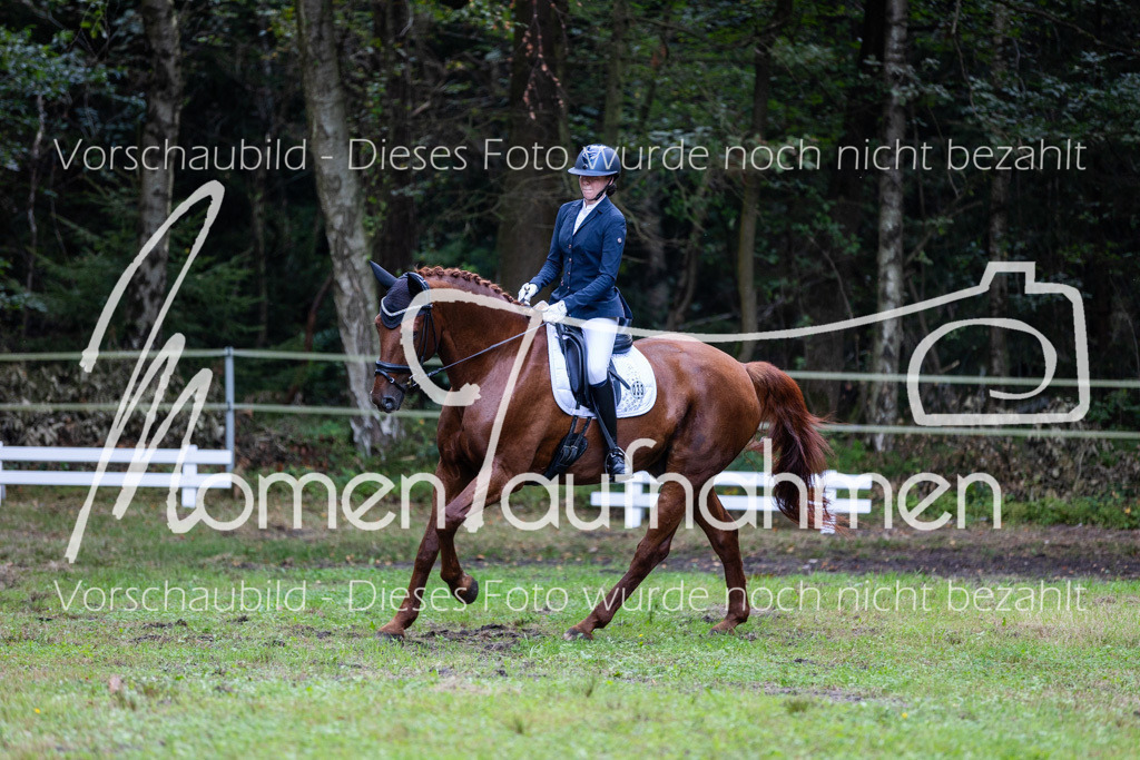 HB-A-Dressur-049 | MomenTaufnahmen Pferdesportfotos