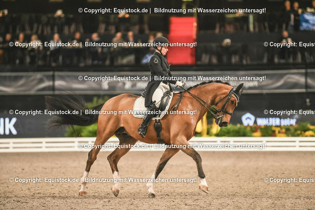 20231115_20_Dressur_Kl-S++_0459_TOMsPiC | Foto: Thomas Hartig