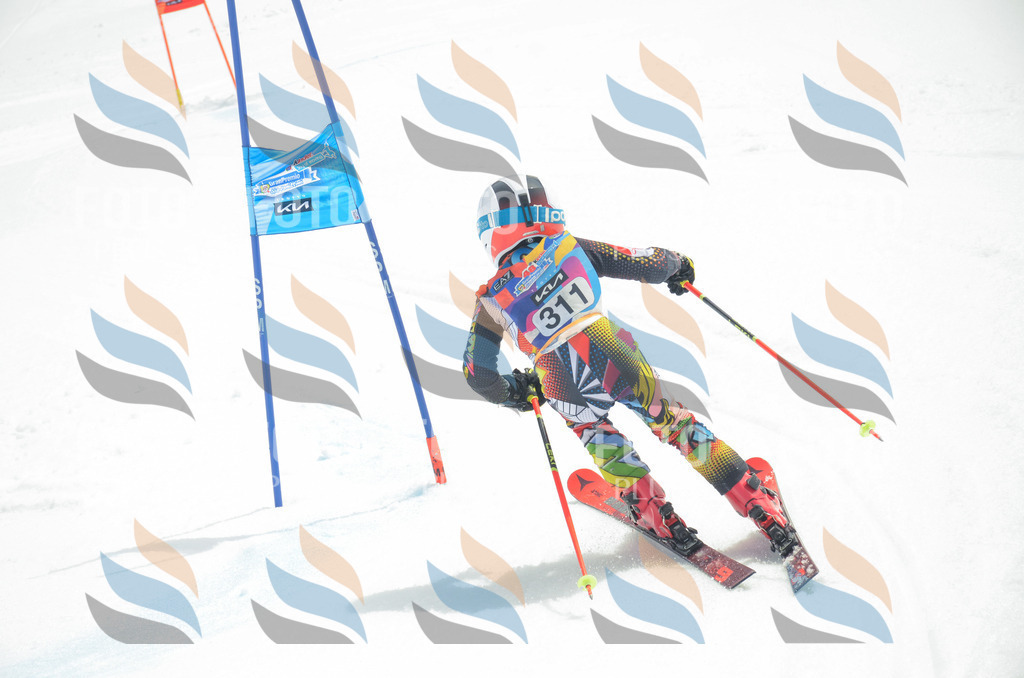 _ELE8409 | holidayphoto