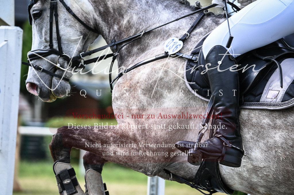 DSC_8376 | Pferde- und Turnierfotografie in Westsachsen. Pferdeportraits, Auftragszeichnungen und intuitive Kunst.