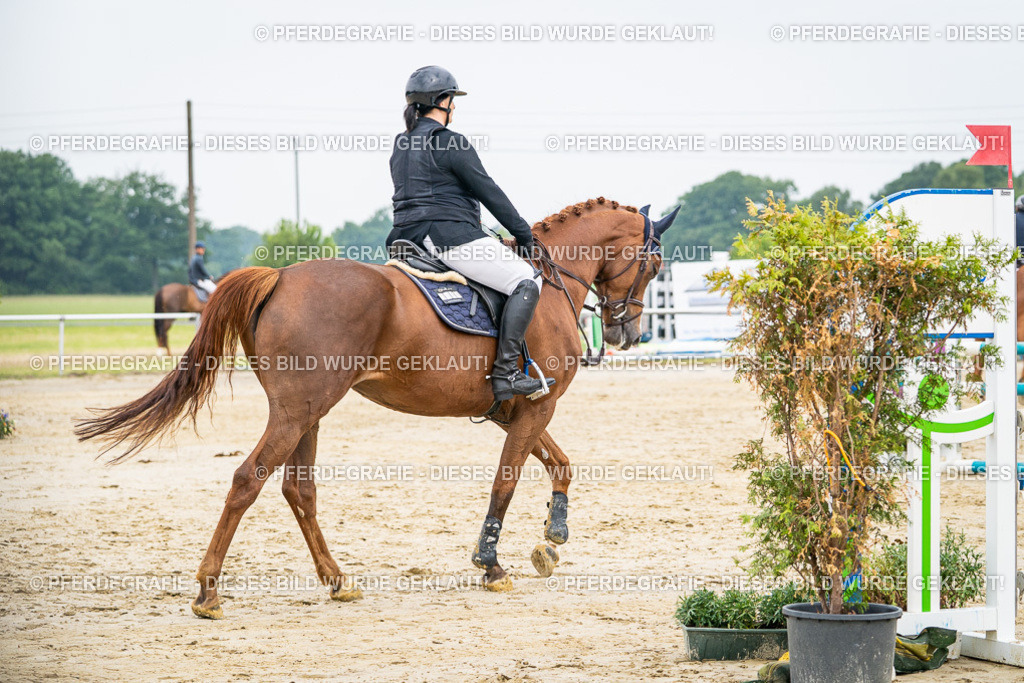 DSC09532 | Pferdegrafie