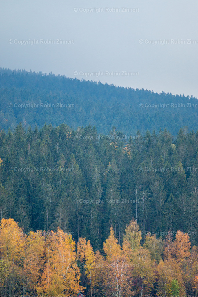 Ochsenkopf-1-3 | Robin Zinnert - Realisiert mit Pictrs.com