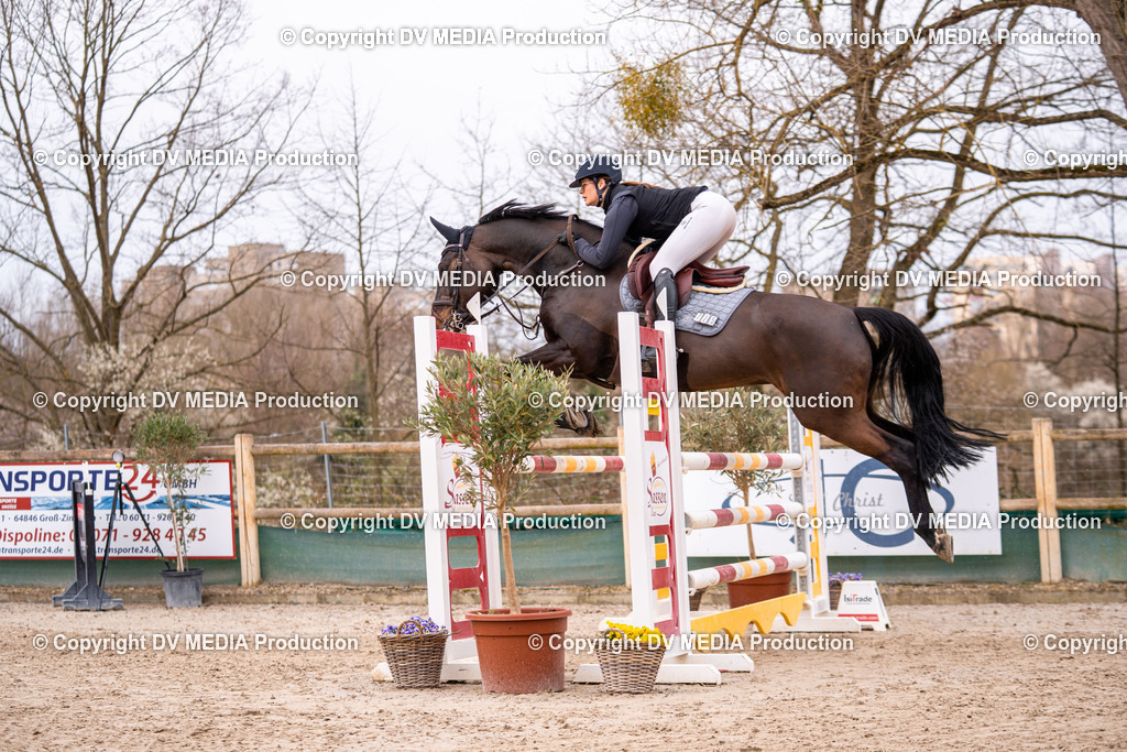 Kranichstein Tag 2-299 | dv-media-shop - Realisiert mit Pictrs.com