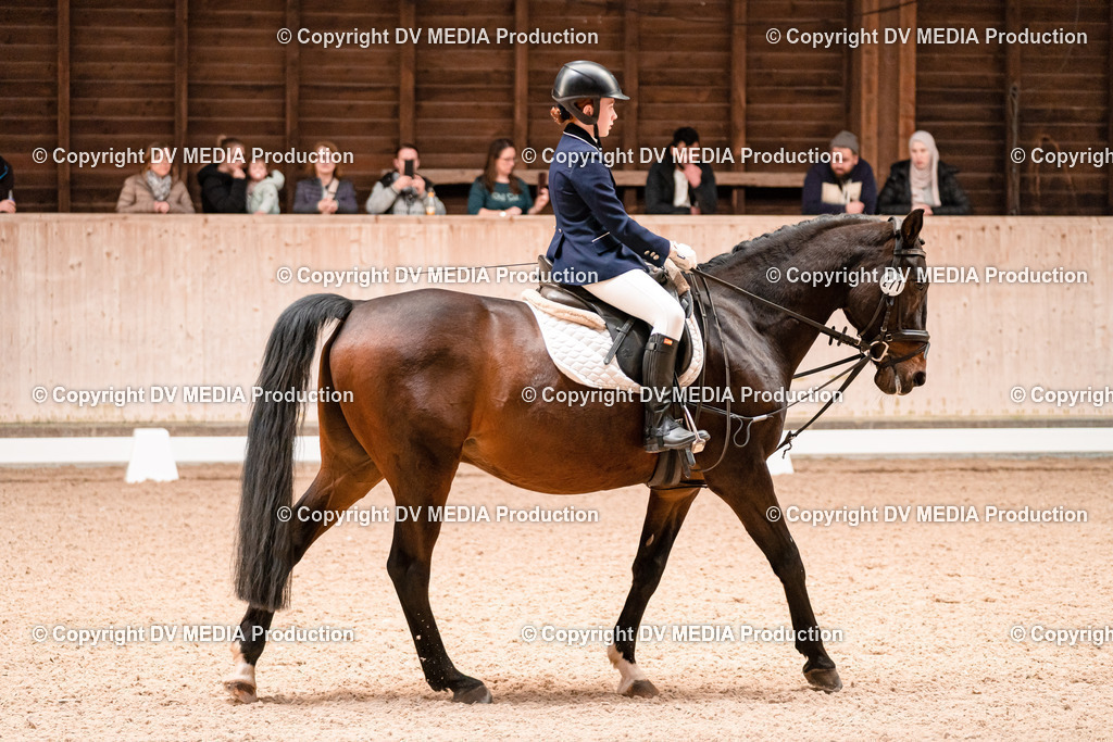 Dressur Tag 2-576 | dv-media-shop - Realisiert mit Pictrs.com