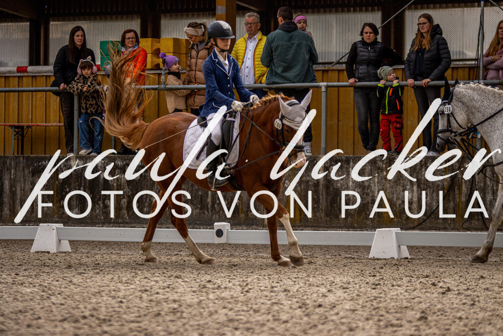 IMG_3780 | Erleben Sie dynamische Sport- und emotionale Tierfotografie in Süddeutschland mit Fotos von Paula. Spezialisiert auf Pferde- und Hundefotografie sowie Sportevents. Kontaktieren Sie mich für einzigartige und ausdrucksstarke Bilder Ihrer besonderen Momente. - Realisiert mit Pictrs.com