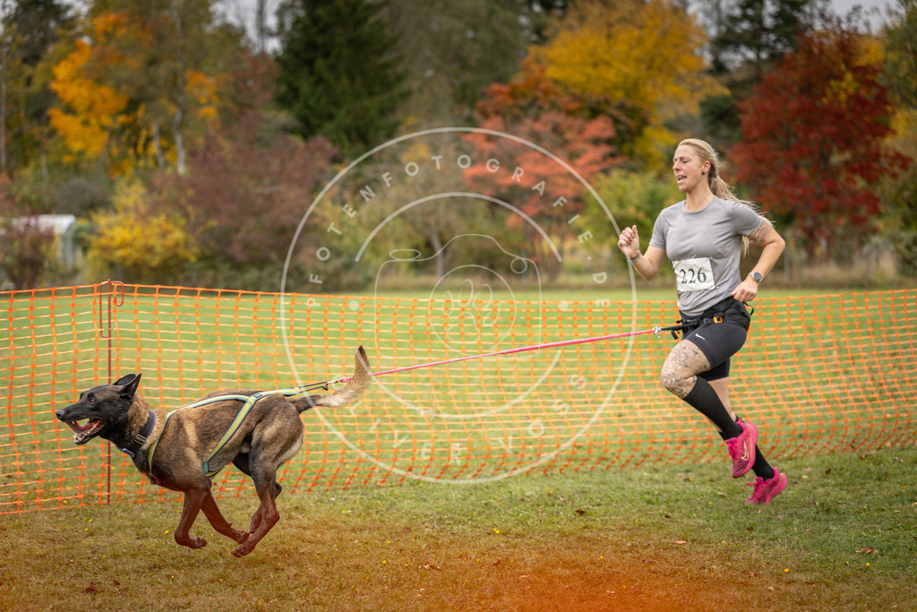 Pfotenfotografie_DV3A4646 | Hundefotografie, Tierfotograf, Pfotenfotografie, Fotoshooting Hund, Hunde Portrait, Hundesport, Hundeportraits, Heideshooting, Hunde, Sportfotograf, Hundefotograf, Turnierhundsport, THS,  - Realisiert mit Pictrs.com