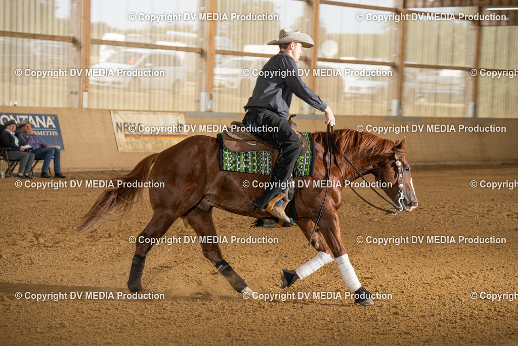 LAU01819 | dv-media-shop - Realisiert mit Pictrs.com