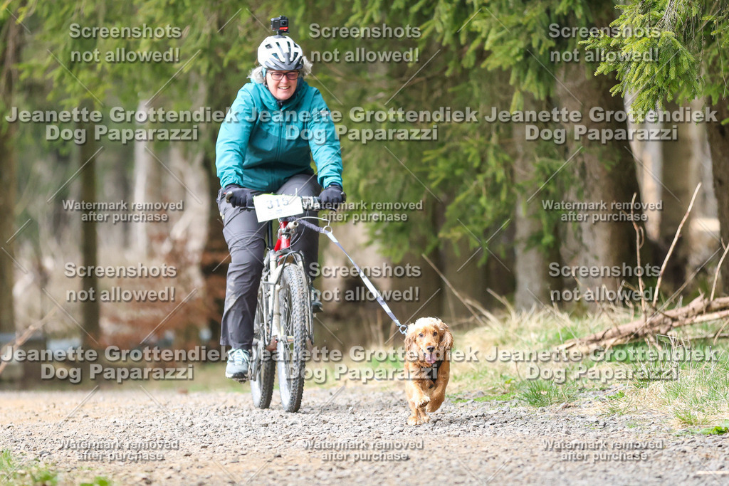 Dog Paparazzi - VCC26-603 | Dog Paparazzi Jeanette Grottendiek Fotografie & Videografie - Realisiert mit Pictrs.com
