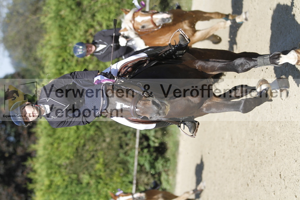 _MG_4410 | equestrian-live-com