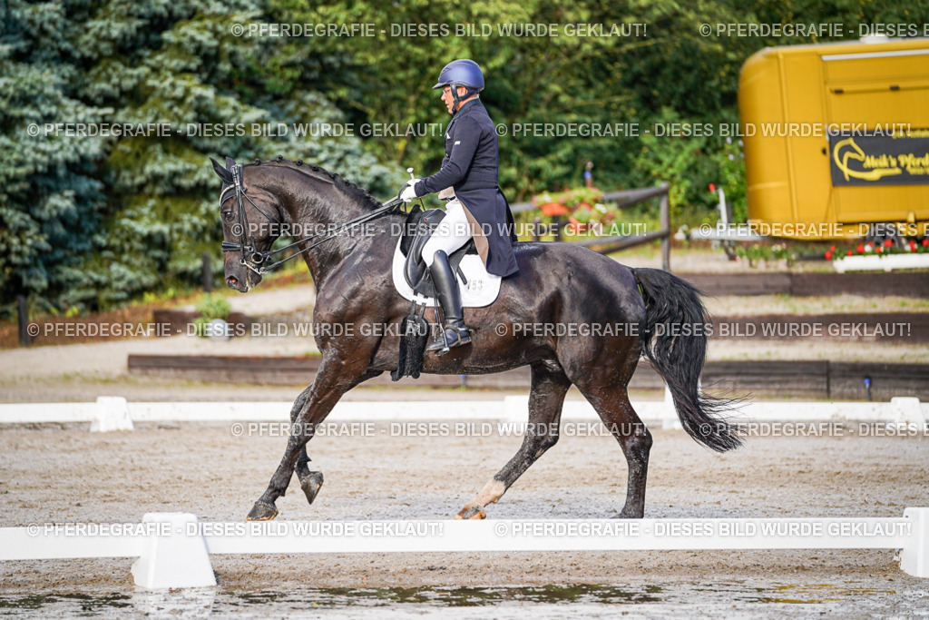 DSC00515 | Pferdegrafie