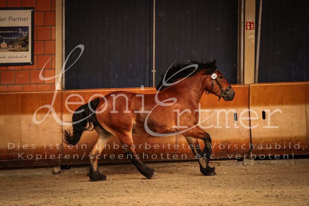 SaFL00158 | Leoni Ertmer Photography - Realisiert mit Pictrs.com