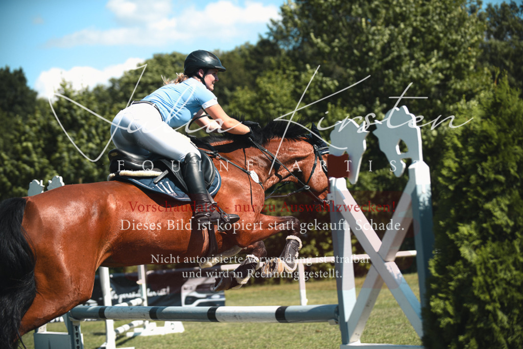 DSC_7159 | Pferde- und Turnierfotografie in Westsachsen. Pferdeportraits, Auftragszeichnungen und intuitive Kunst.
