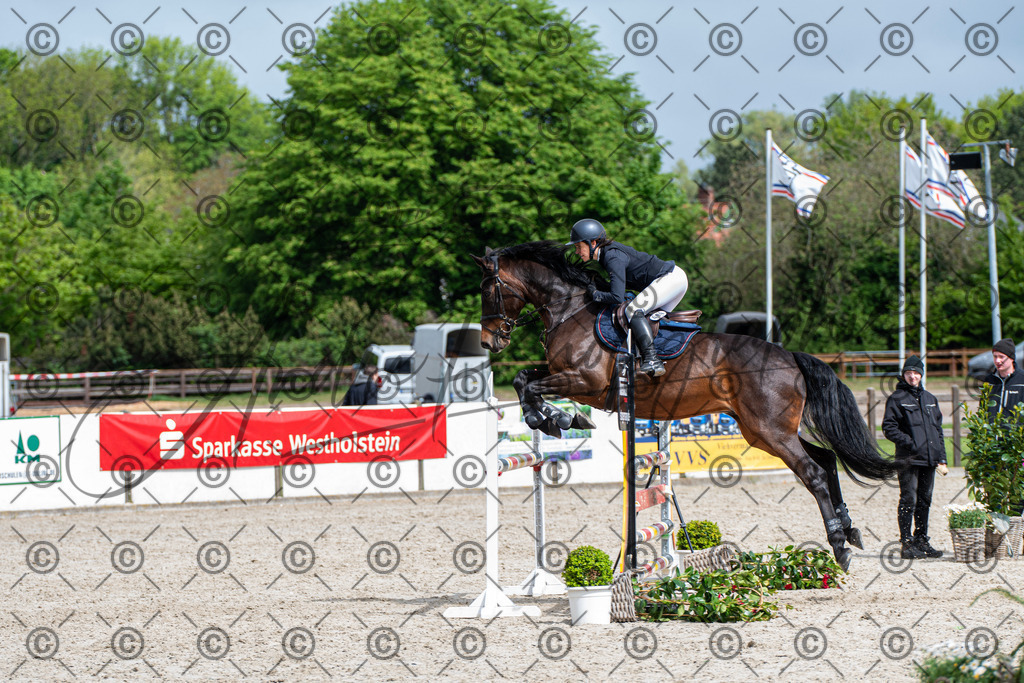 KPT_8916 | andre_photographic