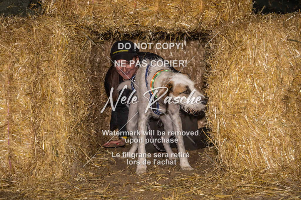 nelerasche_FrNacht_503 | nelerasche
