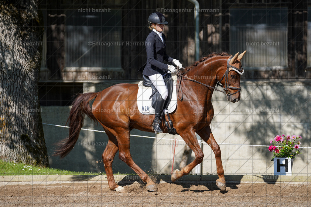 20240519-FAH04604 | Turnierbilder Niederseeon 2024, Vielseitigkeitsdressur, Reitsportbilder aus dem Landkreit Ebersberg, Gut Steinsee, RC Steinsee, Fotoagentur Herrmann