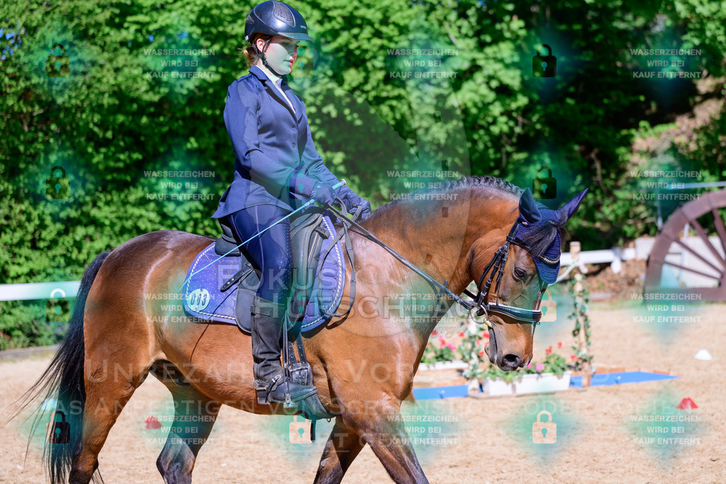 01052026-Giesenbach-02-Stiltrail-0633 | Fokus Hufschlag Fotografie - Realisiert mit Pictrs.com