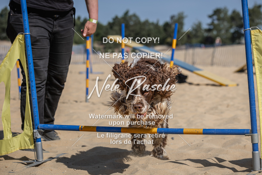 nelerasche_saBeachility_356 | nelerasche