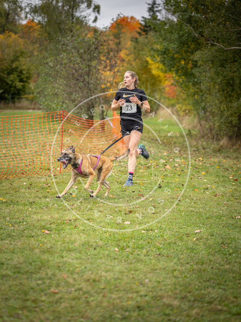 Pfotenfotografie_DV3A2880 | Hundefotografie, Tierfotograf, Pfotenfotografie, Fotoshooting Hund, Hunde Portrait, Hundesport, Hundeportraits, Heideshooting, Hunde, Sportfotograf, Hundefotograf, Turnierhundsport, THS,  - Realisiert mit Pictrs.com