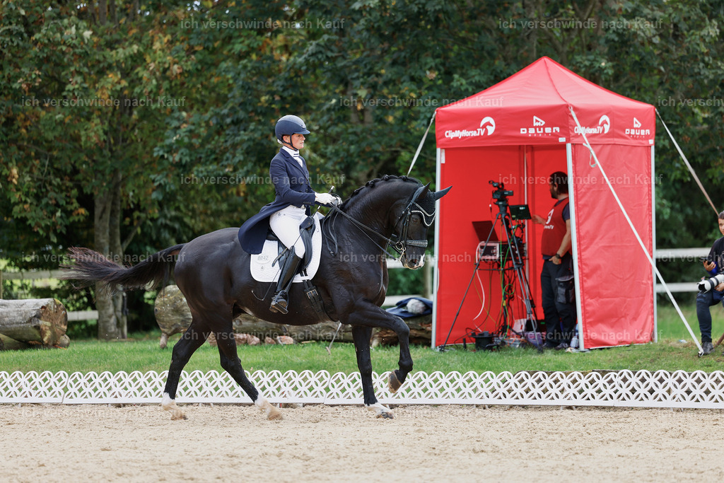 11-042-Dressur S___-StoibPH-1158 | working equitationturnier fotograf videograf stoibphotography marixx film working equitation deutschland reitsport turnierfotografie eventfotografie equestrian events