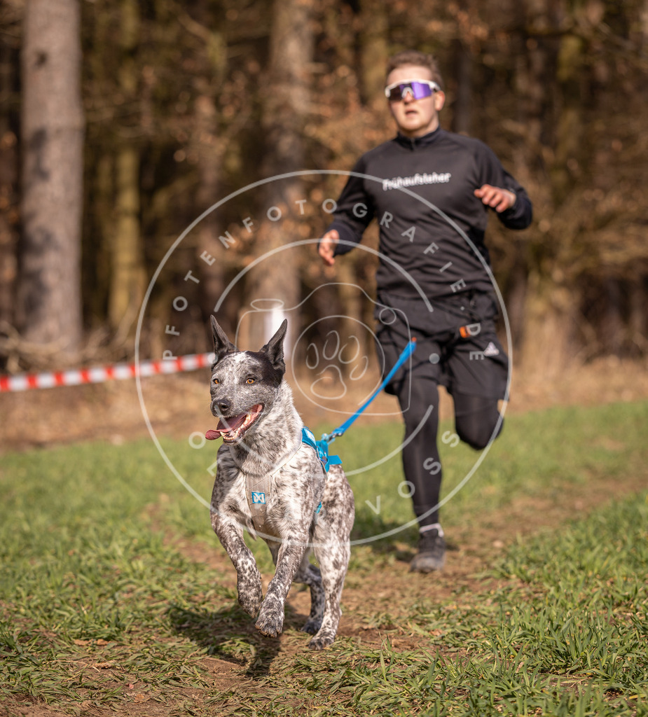 DV3A6239 | Hundefotografie, Tierfotograf, Pfotenfotografie, Fotoshooting Hund, Hunde Portrait, Hundesport, Hundeportraits, Heideshooting, Hunde, Sportfotograf, Hundefotograf, Turnierhundsport, THS,  - Realisiert mit Pictrs.com
