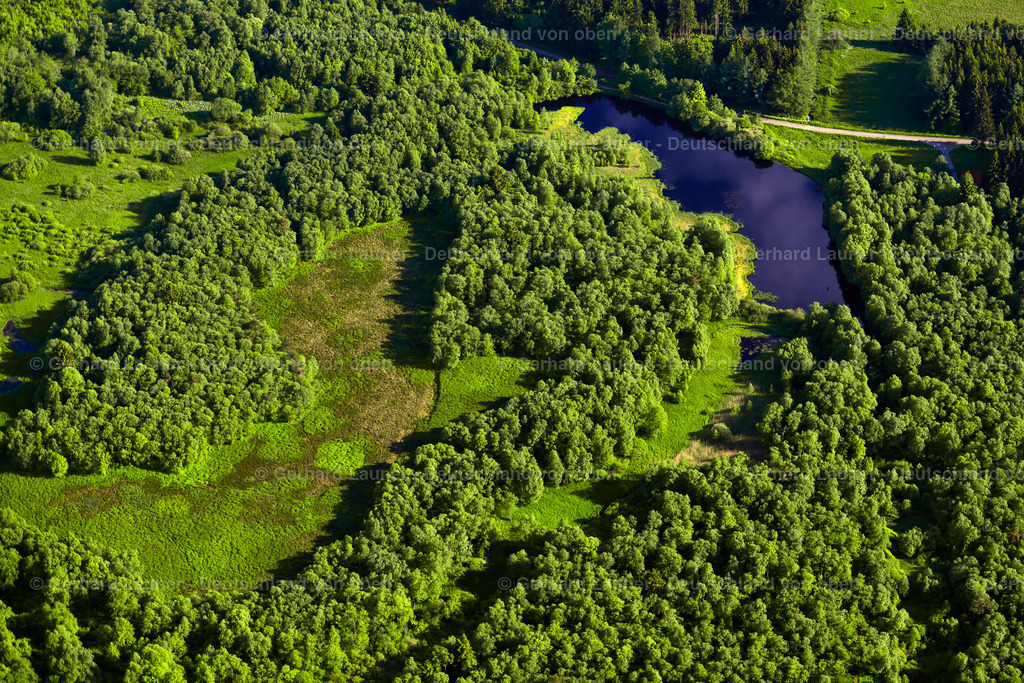 3620162 | Rotes Moor, Hochrhön