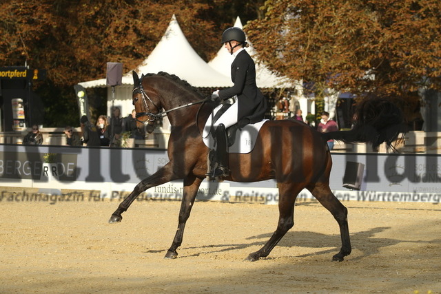 Ludwigsburg_2022_Prfg.Nr.02_FEI Intermediaire I_Mathilde Koefoed-Nielsen_Odin Unik (9) | Alle Fotos der Reiterjournal Fotografin Doris Matthaes im Reiterjournal Online-Fotoshop. - Realisiert mit Pictrs.com