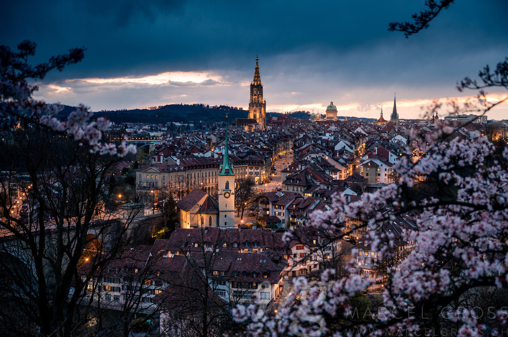 skyline of Berne during Cherry blossom at blue hour in spring | Die ideale Geschenkidee für Naturliebhaber. Naturbilder von Marcel Gross Photography für ihr Zuhause in den verschiedensten Formaten und Materialien. - Realisiert mit Pictrs.com
