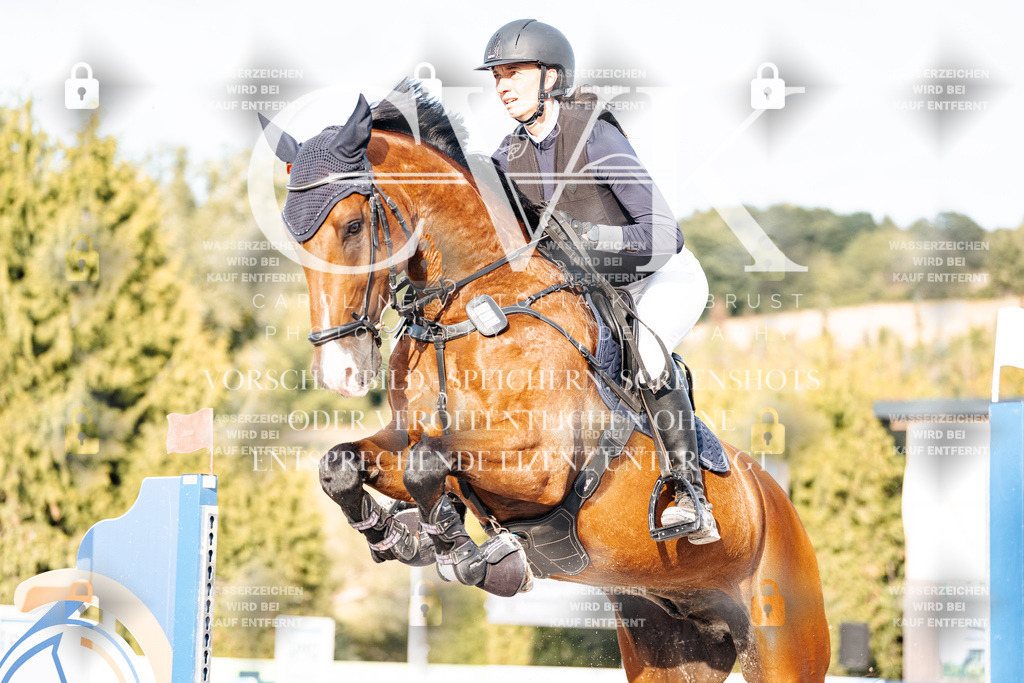 CK903364 | Turnierfotografie Pferdefotografie Trier Rheinland-Pfalz Pferdesport Reitsport Tierfotografie Sportfotografie Pferdevideo Pferdevideografie Equestrianvideography equestrianphotography  - Realisiert mit Pictrs.com