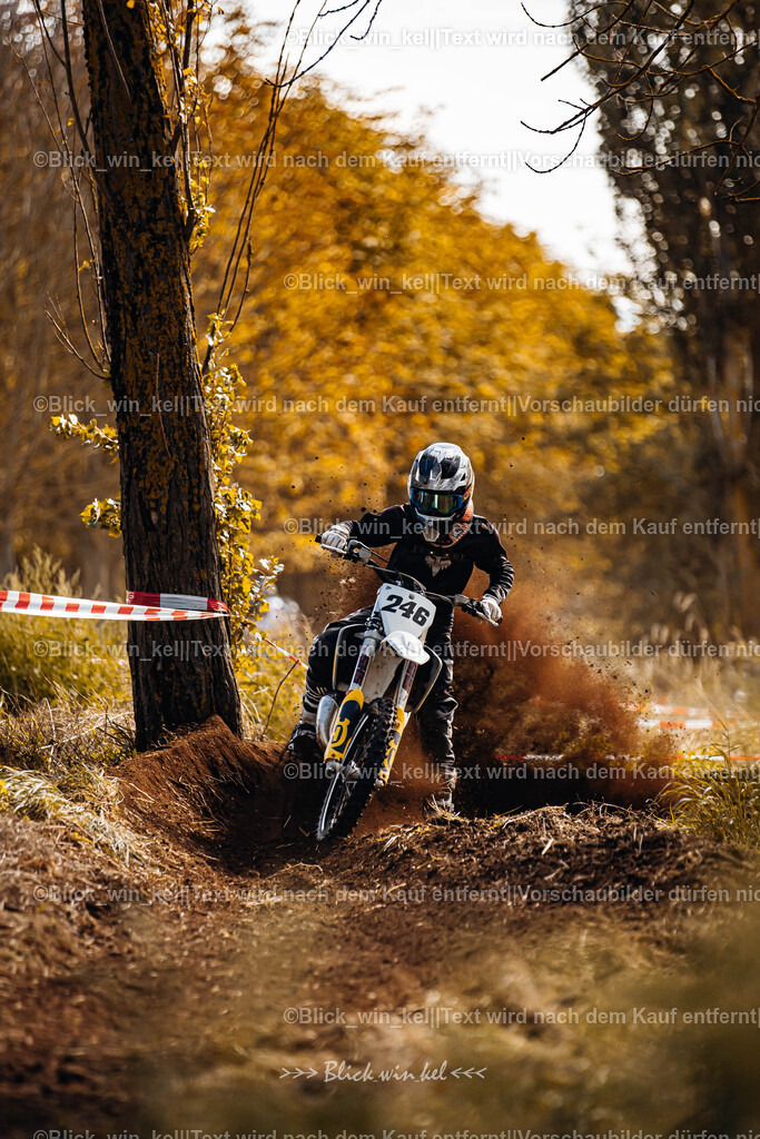 E68A2486 | blick_win_kel