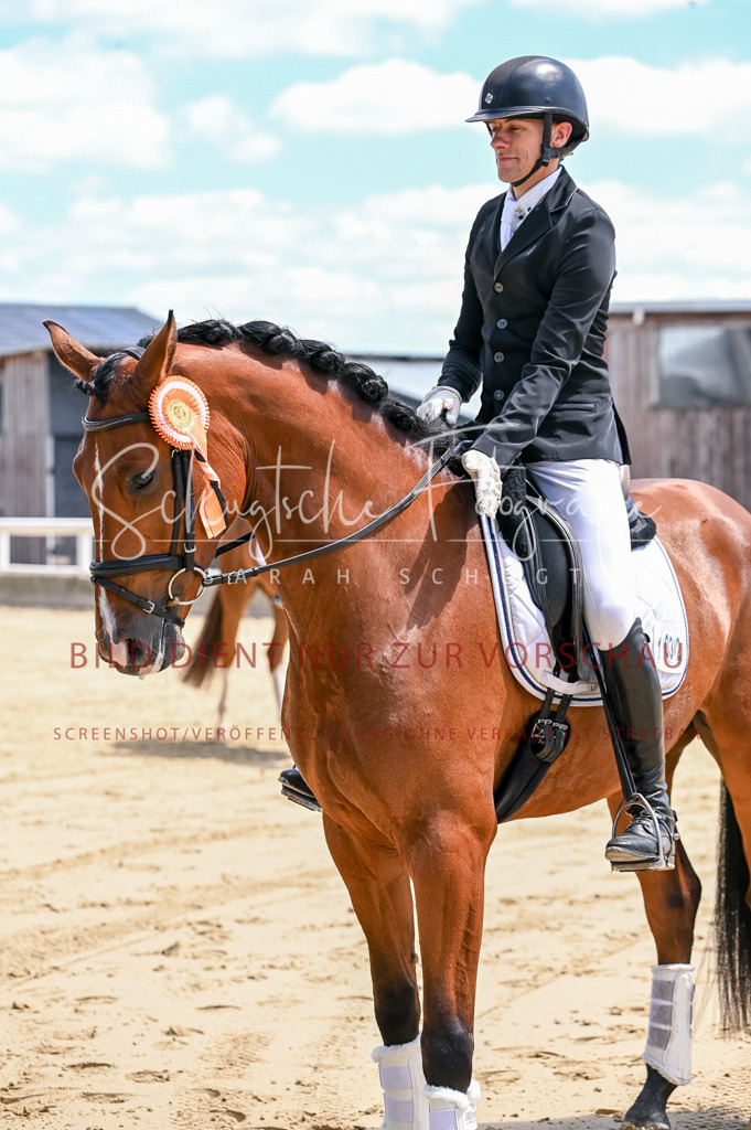 Schugtsche-Aluta25-48.Reitpferfdeprf.-313 | Schugtsche Fotografie - Realisiert mit Pictrs.com