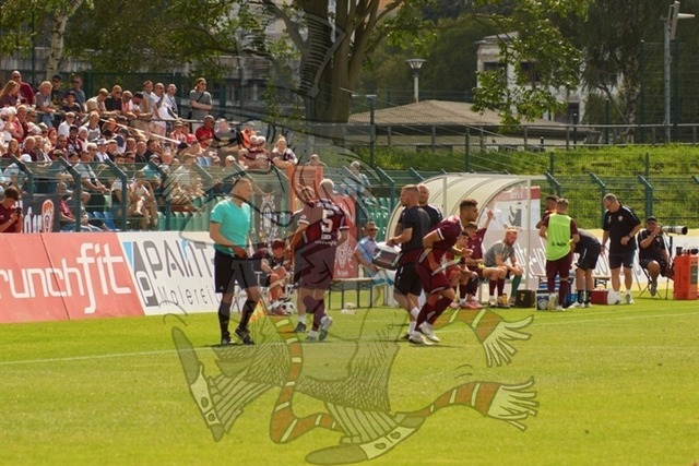BFC Dynamo vs. ZFC Meuselwitz 092 | mythos-online-redaktion