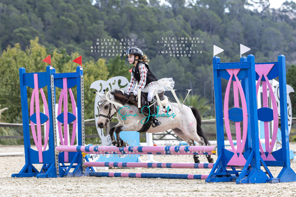 IMG_2304 | s-jay-photography - Realisiert mit Pictrs.com