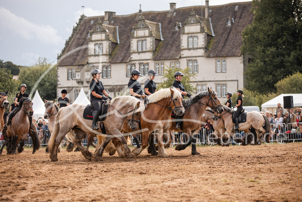 846A4012 | fotosleben - Realisiert mit Pictrs.com