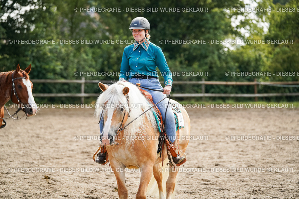 DSC04623 | Pferdegrafie