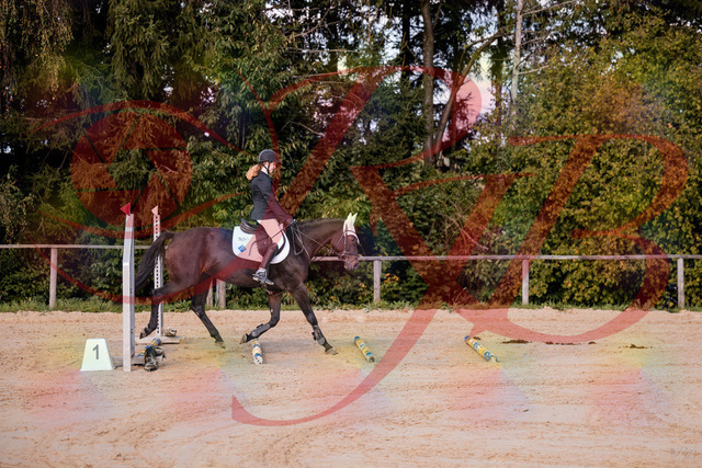 2026_10_03_Siefer-Hof_145846_Z81_40296106 | Professionelle Reitsport-, Turnier- und Eventfotografie von Robert Broda. Galerien mit ausgewählten und bearbeiteten Bildern direkt online ansehen und bestellen.
