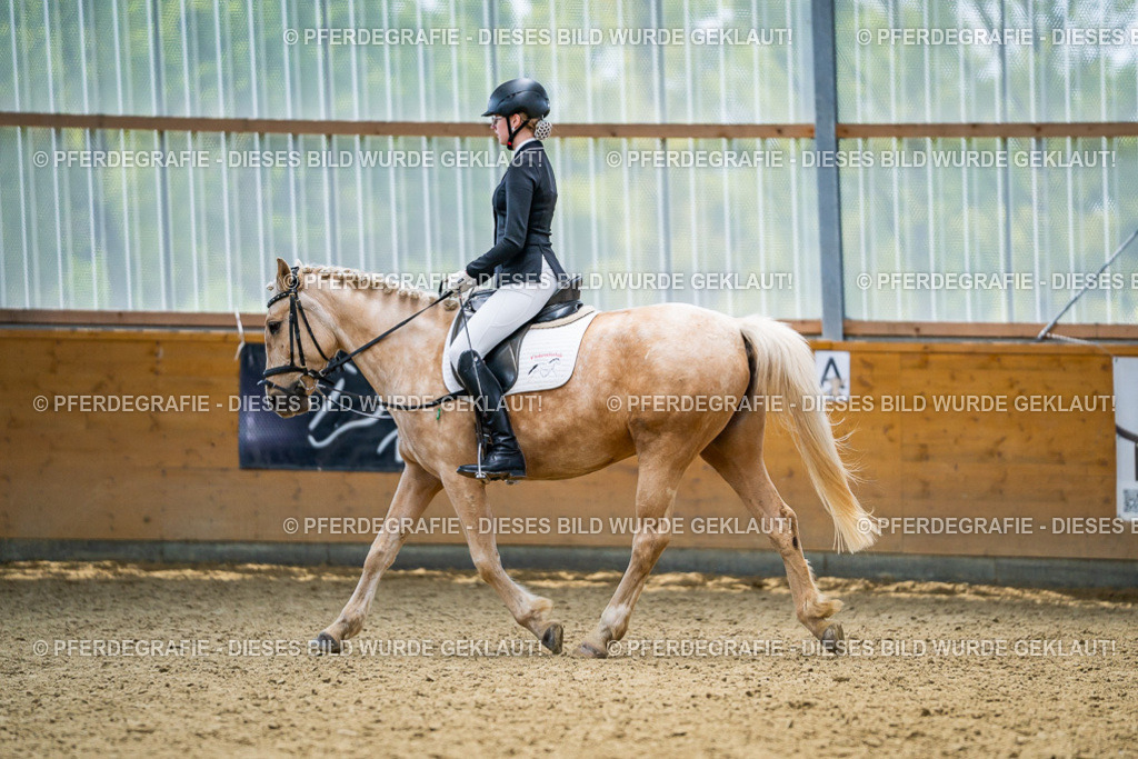 DSC04404 | Pferdegrafie