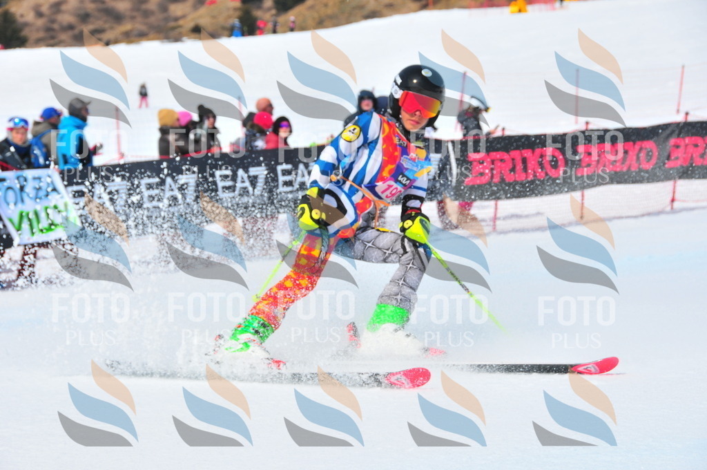 DSC_5471 | holidayphoto