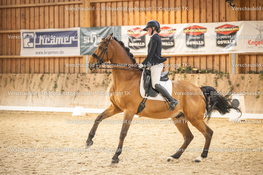 _D5A9833 | Emotionale Pferde- & People-Fotografie rund um Heidelberg, Leimen & Umgebung. Natürliche Fotos von Pferd, Mensch & Familie. Jetzt Termin sichern!